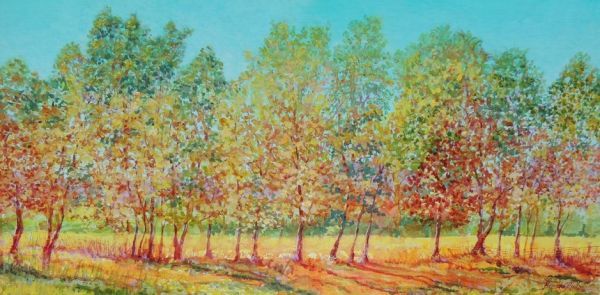 Cades Cove Late Afternoon