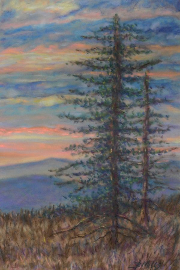 View From Newfound Gap