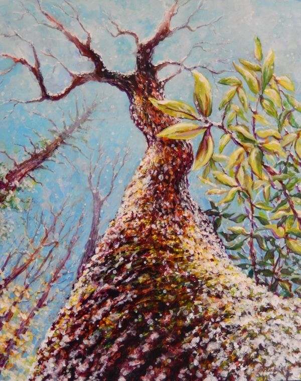 Mossy Snowy Tree